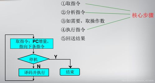 计算机系统的基本组成与其相关服务